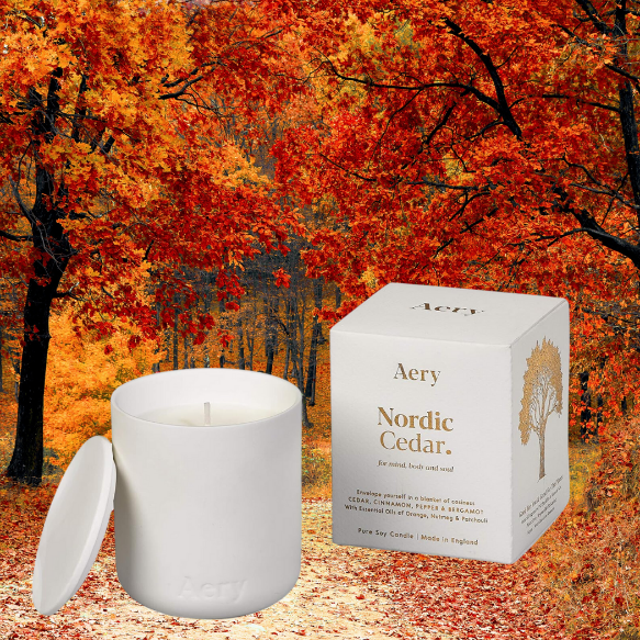 aery nordic autumn scented candles