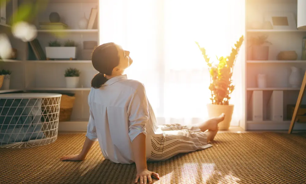 Scent Roles every home needs - Mists and Melts